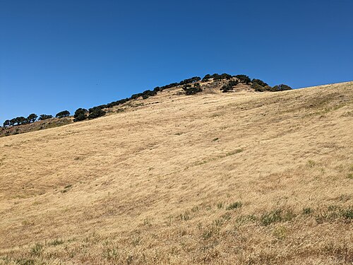 Brushy Peak